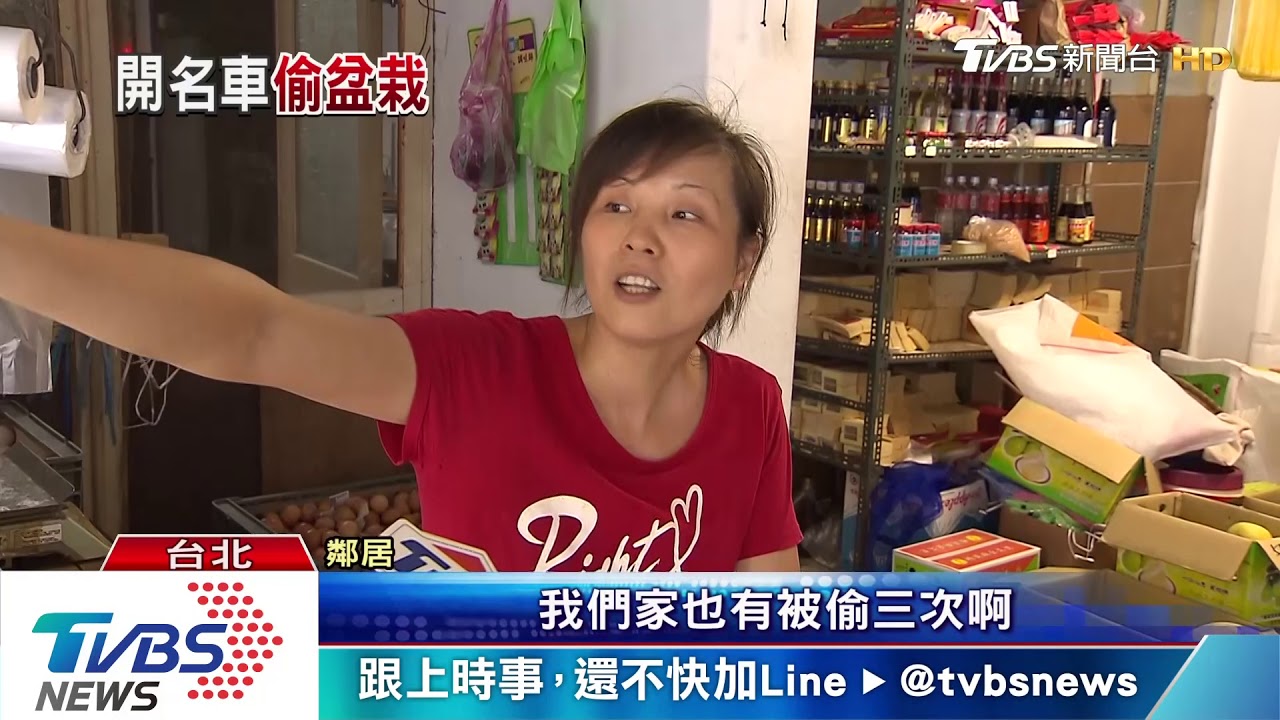 陳艾琳花藝店盆栽遭竊! 婦人稱想鑑定