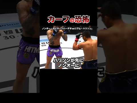 【放送禁止】恐ろしすぎるカーフキックKO試合５選【格闘技】Calf Kick #格闘技 #ボクシング #格闘技解説 #ボクシング解説 #ノンオー #ハリソン #井上尚弥