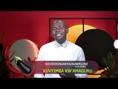 IVYIZA VY'#IKIVIRIRINGANYA! #AUBERGINE by NAHIMANA Vianney