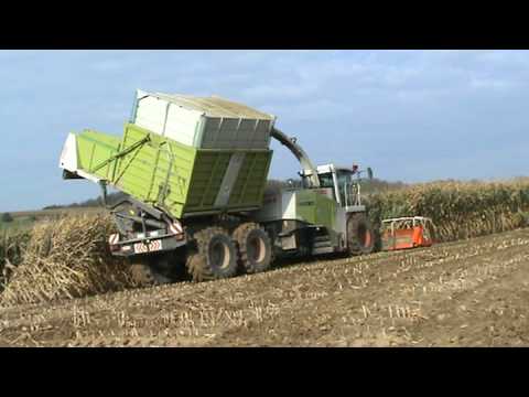 Ensilage Maïs 2008