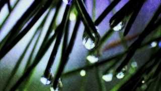 Pixies.- All over the world (subtitulada en español)