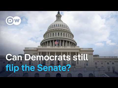Maine Democrats looking for new Senate candidate | DW News