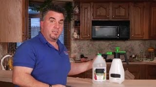 How to Remove a Dog Urine Smell From a Carpet Naturally : Carpet Care & Cleaning