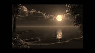 The Hooters Satellite   Lyrics