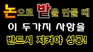 [텃밭농부.886]  논으로 밭을 만들 때 이 두가지를 놓지면 안돼. #논을 밭으로