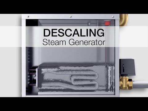 Descaling Steam Generators