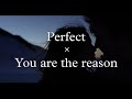 You are the Perfect Reason | Ed Sheeran x Calumn Scott | musicks