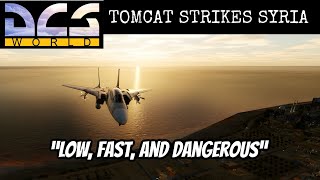DCS: F-14 Tomcat Bombs Syrian Chemical Weapons Site
