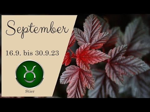 Dein Sieg erwartet dich | September | Stier ♉️