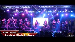 preview picture of video 'Banda La Gloria De Jerez   LA DESPISTADA  ( En Vivo San Lorenzo Acopilco 2015 )'