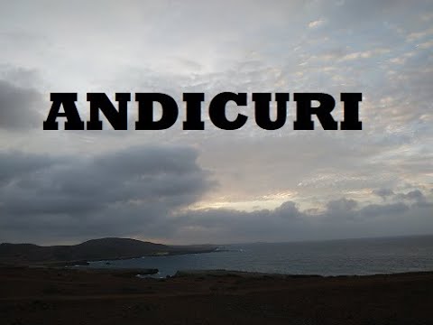 Hunting Lionfish Aruba at Andicuri beach