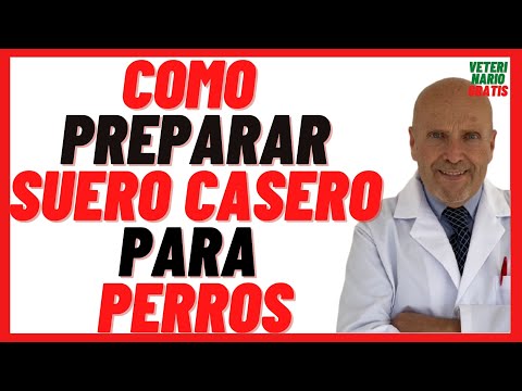 How to Prepare or Make Homemade Oral Serum for Dehydrated Puppies with Diarrhea or Vomiting