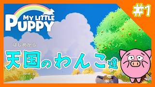 #1 天国に行ったわんこ達は飼い主を想っていました【マイリトルパピー】