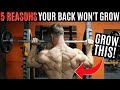 5 Reasons Your Back Won't Grow | Gym Mistakes