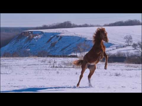 Деревенька