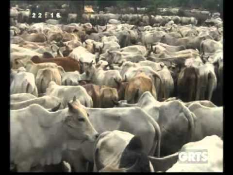 GRTS 11 06 2012 2210 GMT