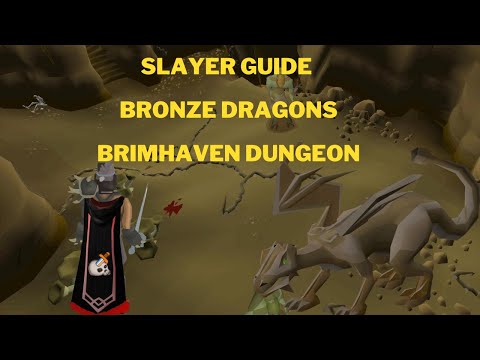 Osrs Brimhaven Dungeon