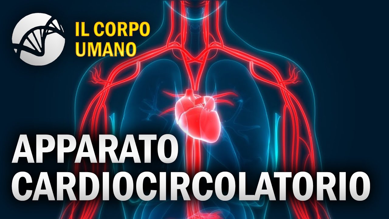 Apparato Cardiocircolatorio - Il Corpo Umano