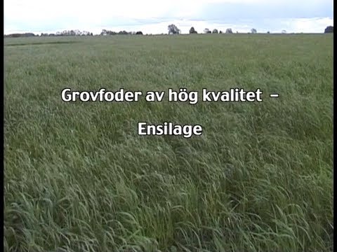 download lagu mp3 mp4 Hög Kvalitet, download lagu Hög Kvalitet gratis, unduh video klip Download Hög Kvalitet Mp3 dan Mp4 Music Gratis