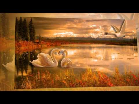 Yêu em vàng thu lá đổ - Tấn Minh