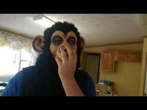 Just Monkeying Around...