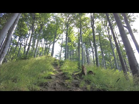 Letní tip na výlet - Beskydy - Mosty u Jablunkova - Studeničný, Gírová, Velké Šance