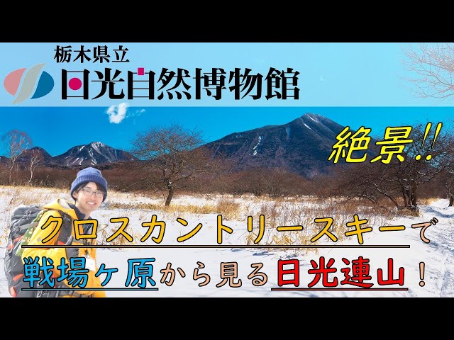 株式会社日光自然博物館