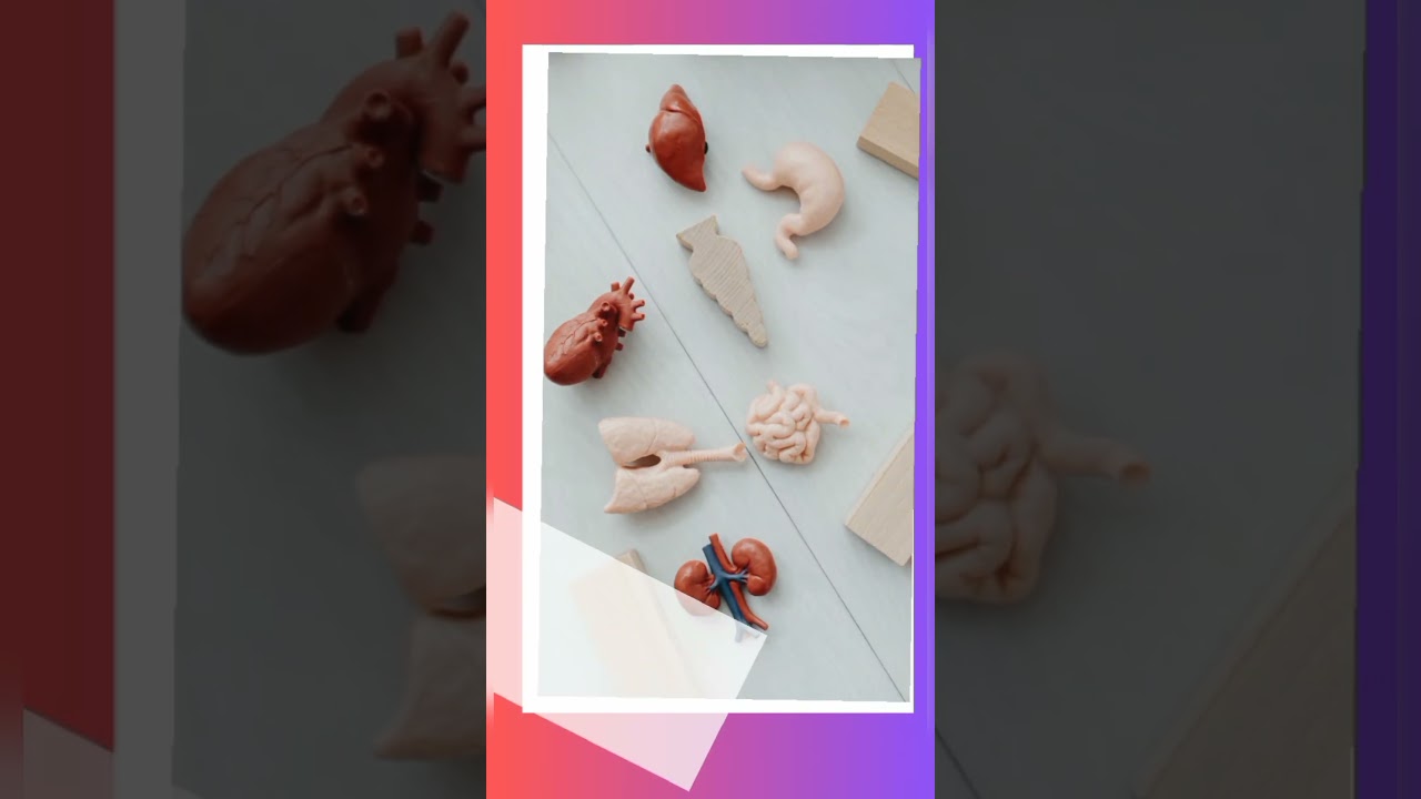 Muere Marcello Malpighi