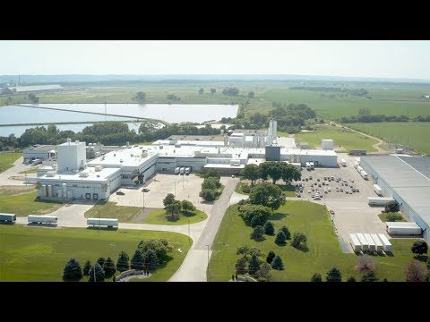 Marine collagen powder