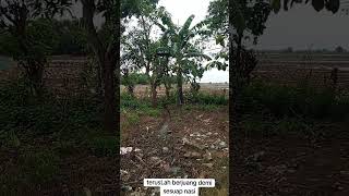 Download lagu Fight for a bright future #motivation mp3 Download lagu Fight for a bright future #motivation mp3