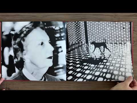 CHRISTOPHER ANDERSON   Capitolio