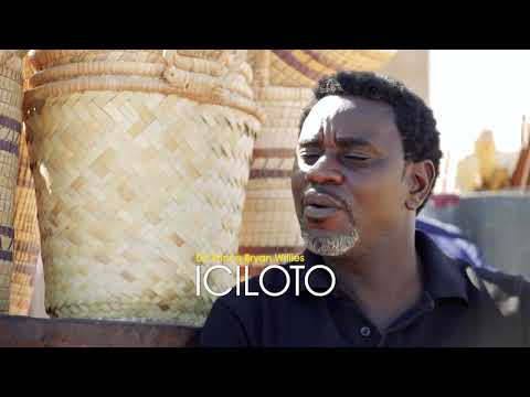 Davies N. Mulaya-Iciloto