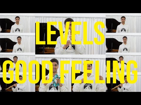 Avicii and Flo Rida - Levels/ Good Feeling - EPIC Cover - A Cappella, Rap and Recorder