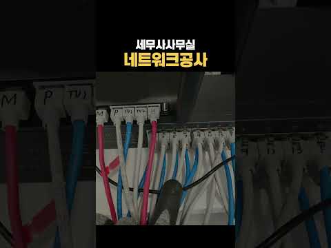 세무사 사무실 네트워크 세팅 #shorts #사무실세팅 #RJ커넥터 #사무실오픈