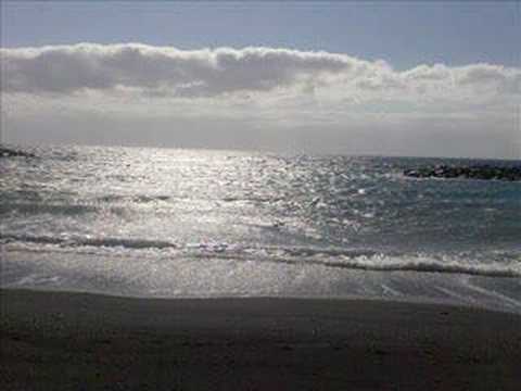 Voz veis-no contaba con tu adios