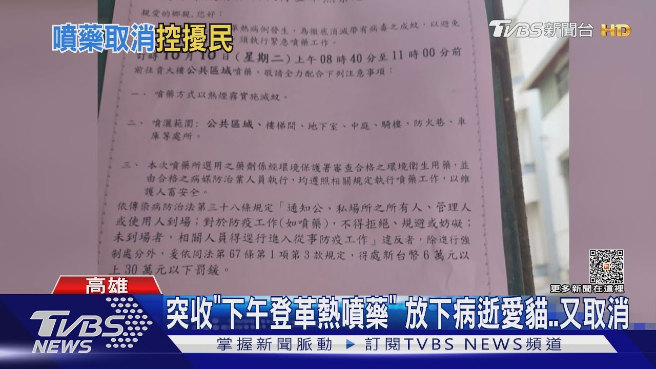 突通知「登革熱噴藥」!她放下病逝愛貓忙打包 卻說不噴了