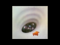 Robin Trower - Long Misty Days (1976) (US Chrysalis vinyl) (FULL LP)