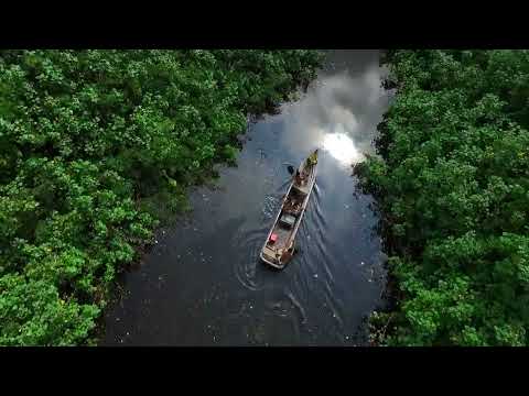 Brazilian urban legend: Iara