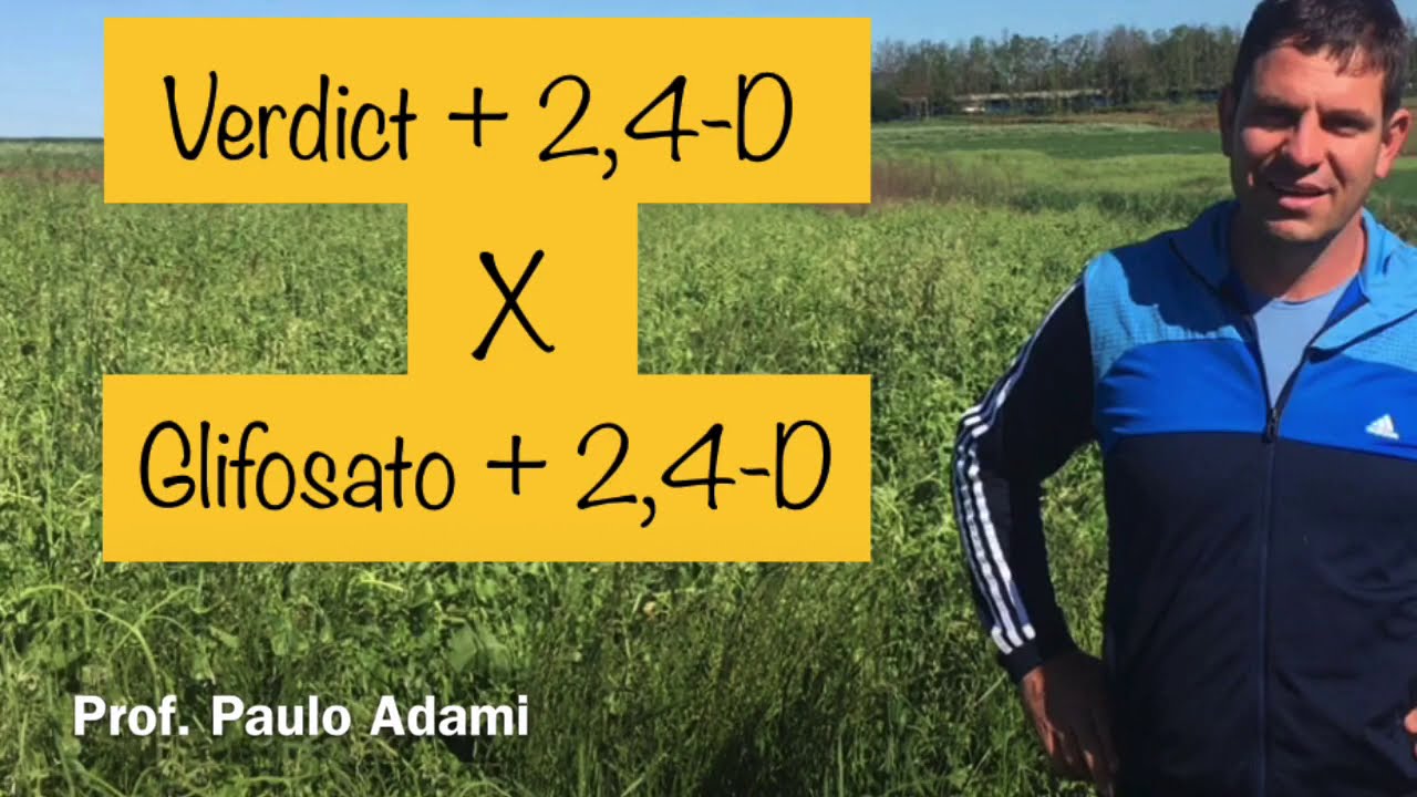 Manejo Dessecação Pré Milho