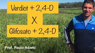 Manejo Dessecação Pré Milho