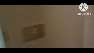 P&O Cruise, Pacific Encounter. Oceanview room.