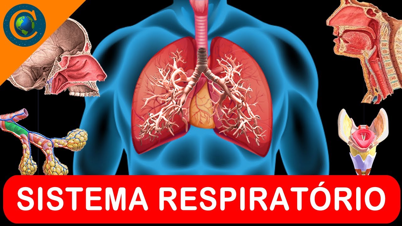 SISTEMA RESPIRATÓRIO