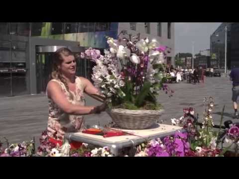 , title : 'Met orchideeën maak je het op een makkelijke manier bijzonder (Rotterdam)'