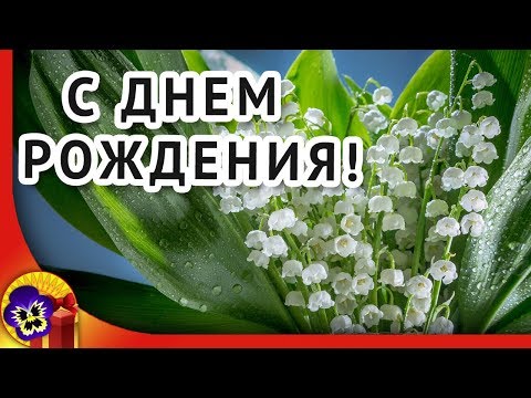 Красивая видео открытка поздравление с днем рождения 🌷 С днем рождения весной!