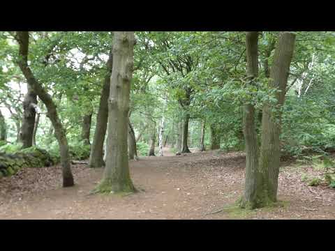 A quick walk around lovely Woodhouse Hill Iron Age Hillfort near Helsby Cheshire England UK