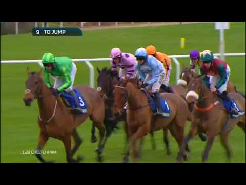 2015 Dipper Novice Chase