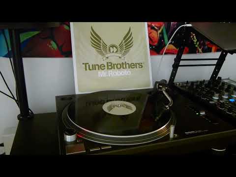 Tune Brothers - Mr. Roboto (Original)
