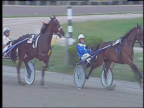 Trotto 07/10/2016 - 2ª corsa