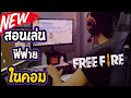 ฟีฟายฟรี