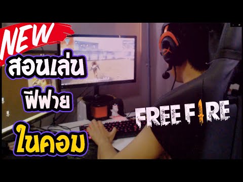 ฟีฟายฟรี